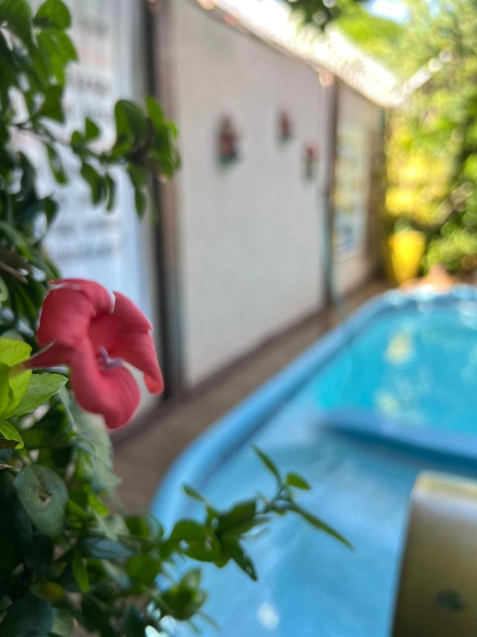 Flor Dalia Inn