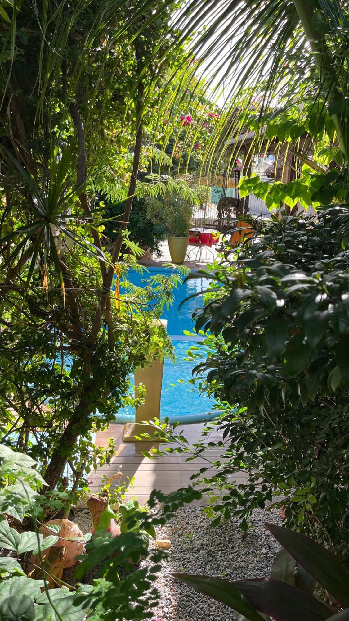 Flor Dalia Inn Natal